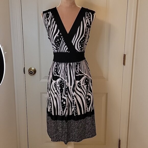AA Studio AA Zebra and Polka Dot Dress  Size 10 EUC! - Picture 1 of 6